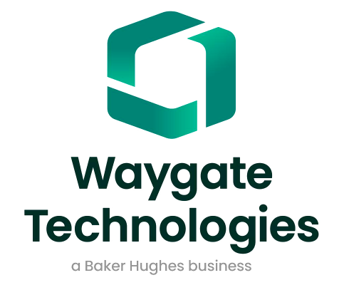 Waygate Technologies company logo